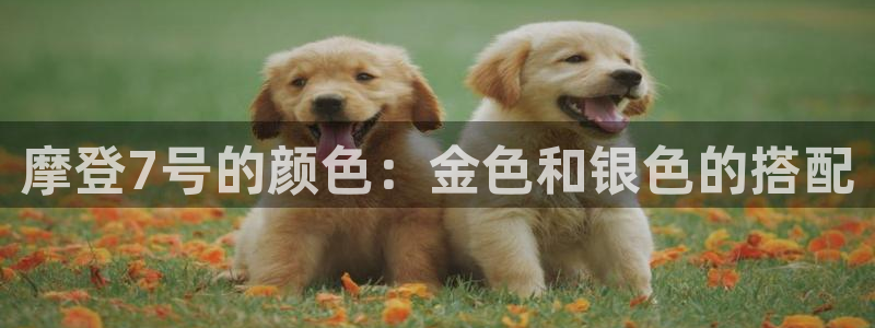 恒行官网