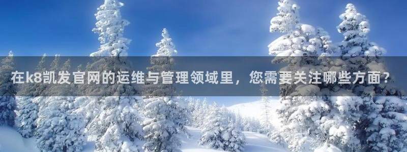 恒行强制退款流程详解