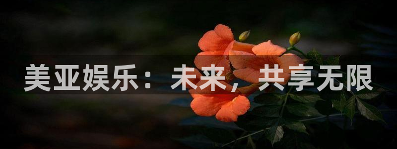 恒行,com