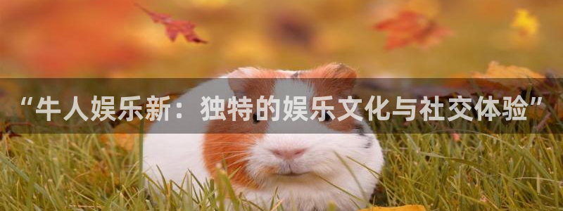 恒行下载