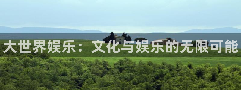 壹号top娱乐