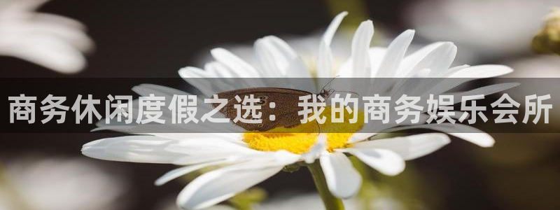 壹号app下载苹果