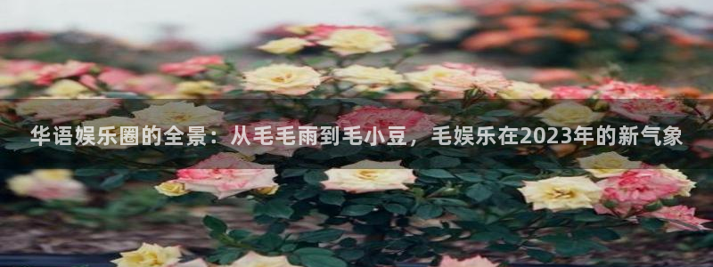 壹号app官网