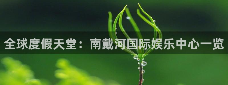 壹号注册入口app下载