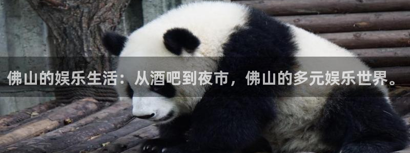 壹号大舞台28国际大舞台