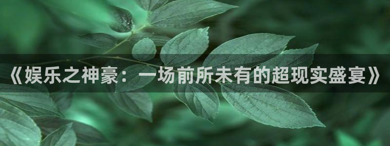 壹号下载安装