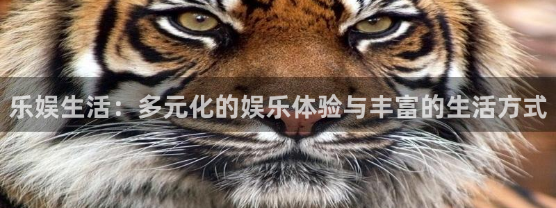 恒行,apk.
