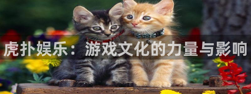 壹号app下载官网娱乐