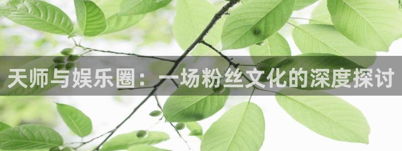壹号大舞台下载链接