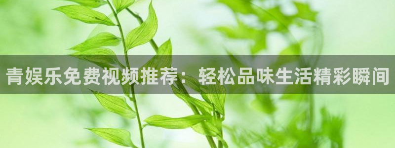 恒行怎么下载：青娱乐免费视频推荐：轻松品味生活精彩瞬间