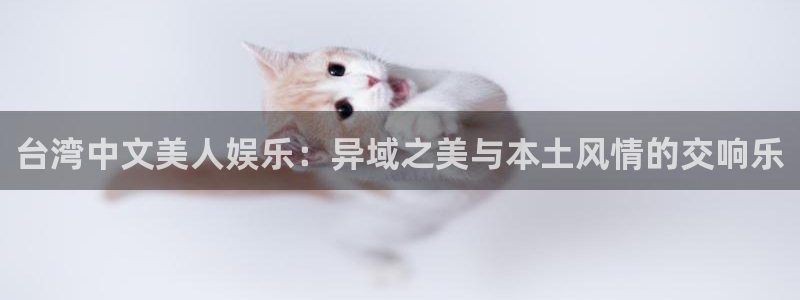 恒行app：台湾中文美人娱乐：异域之美与本土风情的交响乐