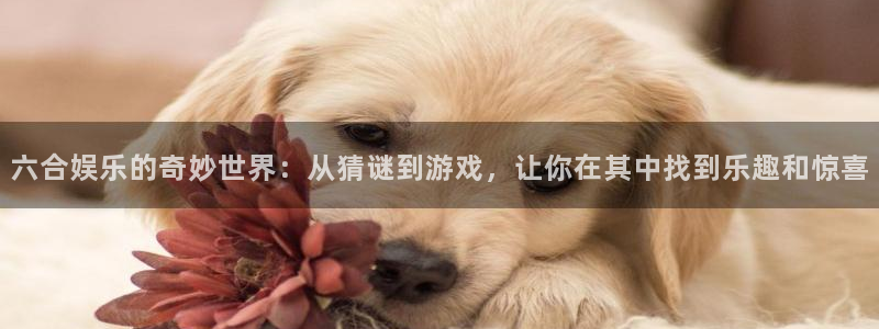 壹号大舞台：六合娱乐的奇妙世界：从猜谜到游戏，让你在其中找到乐趣和惊喜