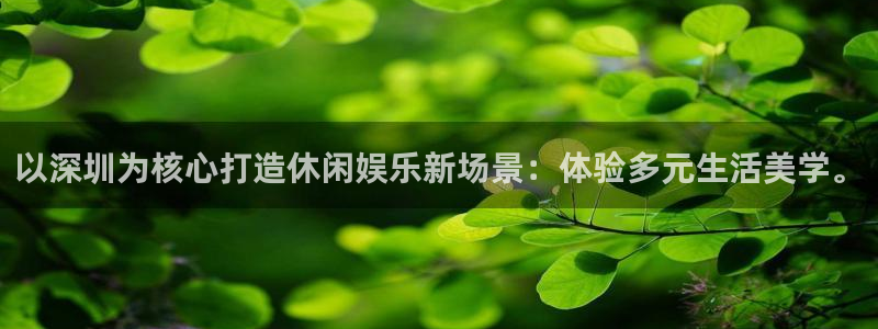 恒行app下载安装：以深圳为核心打造休闲娱乐新场景：体验多元生活美学。