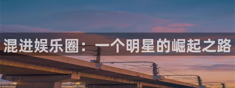 壹号app官网：混进娱乐圈：一个明星的崛起之路