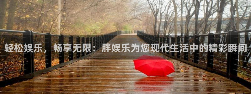 壹号电子娱乐app下载安装最新版本：轻松娱乐，畅享无限：胖娱乐为您现代生活中的精彩瞬间