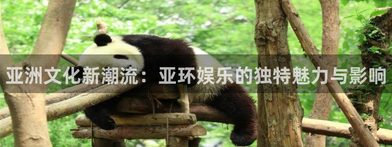 壹号大舞台下载：亚洲文化新潮流：亚环娱乐的独特魅力与影响