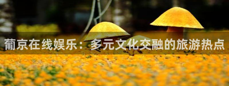 壹号平台注册链接官网下载：葡京在线娱乐：多元文化交融的旅游热点
